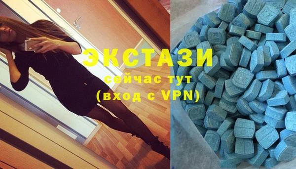 стафф Вязьма