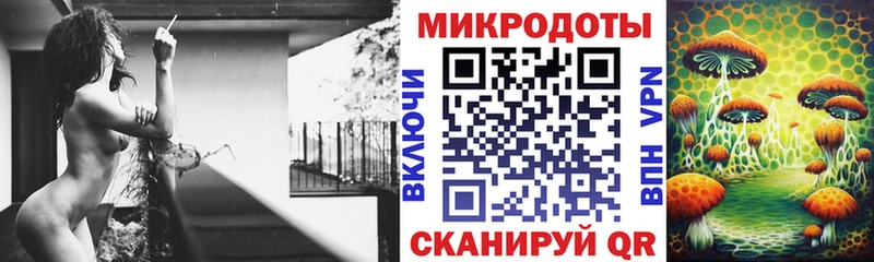 мега онион сколько стоит Владимир Псилоцибиновые грибы мицелий